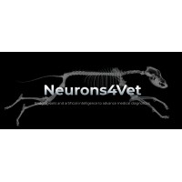 Neurons4vet.ai logo - Similar company to Samana: Coming Soon!