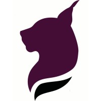 Lynx Language logo - Similar company to Florida Fire Frogs