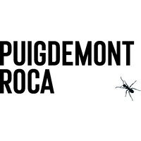 Puigdemont Roca logo - Similar company to Typesense Graphic Design