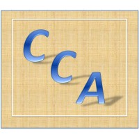Continuum Consulting Associates, Llc