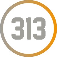 313 Commercial logo - Similar company to Djm Financial Planning