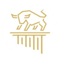 FORTE - Consulenza Finanziaria Indipendente logo - Similar company to Over The Net S.R.L.