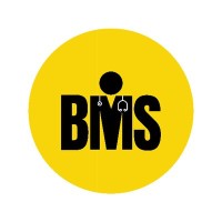 Black Medical Society (BMS) logo - Similar company to Intrasonics, An Ipsos Company