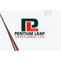 PENTIUM LEAP VENTURES LTD logo - Similar company to Wi-Pay Technologies Ltd