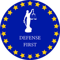 DEFENSE FIRST logo - Similar company to Fundación Manuel Serra Domínguez