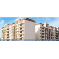 silvercity group of company logo - Similar company to Silvercity Multiplex