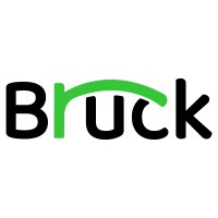 Bruck logo - Similar company to Triadesoft