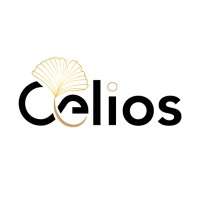 Celios logo - Similar company to Celios Technologies