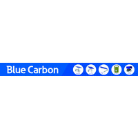 Algeria Blue Carbon Technology logo - Similar company to China Solar Product Supplier