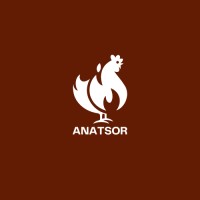 Anatsor Ltd logo - Similar company to Wareflow