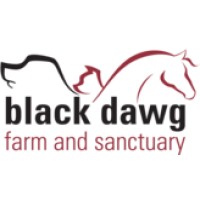 BLACK DAWG FARM AND SANCTUARY logo - Similar company to Digitanium