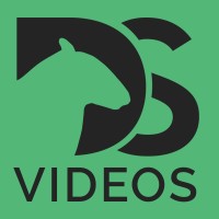 DS Videos logo - Similar company to Level Theory