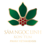 Sâm Ngọc Linh Kon Tum logo - Similar company to Savvy Technologies Inc.