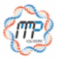 Mmp-Solutions