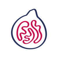 FIVE FAT FIGS Ltd logo - Similar company to 1World Xzibitz Limited