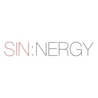 Sinnergy logo - Similar company to Sinnergy