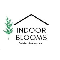 Indoor Blooms
