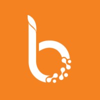 bnano logo - Similar company to Metala