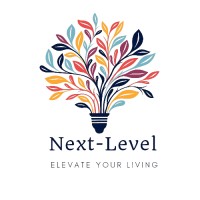 Next-Level logo - Similar company to Web Works