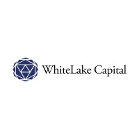 WhiteLake Capital AG logo - Similar company to Falgom Ag