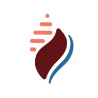 cShell Consulting Inc. logo - Similar company to Mobistream