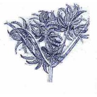 AAL London Hub Technologies Consultancy logo - Similar company to 1St It - Making Technology Simple