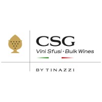 CSG Vini Sfusi - Bulk Wines by TINAZZI logo - Similar company to Vini Crociani