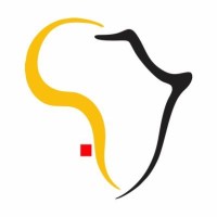 TechTrends Africa logo - Similar company to Drones Media