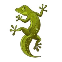 GECKO Study logo - Similar company to Hasanova