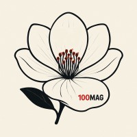 100MAG logo - Similar company to Bluorizon S.R.L.