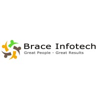 Brace Infotech Private Ltd logo - Similar company to Dminds Solutions Inc.
