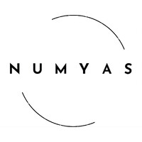 NUMYAS logo - Similar company to Futurestate Alliance