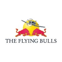 The Flying Bulls logo - Similar company to Skylinx