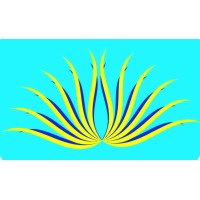 SARAVAN FAB INDIA EXPORTS PVT LTD logo - Similar company to Osaka Synthetics Pvt Ltd