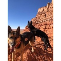 4Corners K-9 Search and Rescue logo - Similar company to American K-9 Interdiction