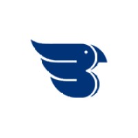 Bluebird IT Solutions Ltd logo - Similar company to Bluebird It Solutions - A Wellstar Company