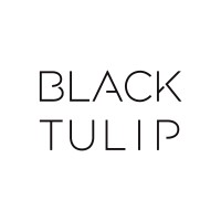 Black Tulip Studio logo - Similar company to The Hamlet