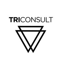 Triconsult logo - Similar company to Angoinform Informatica