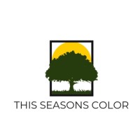 This Season Color INC logo - Similar company to Sowaan Workspaces