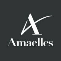 Amaelles Territoire de Belfort logo - Similar company to Eliad