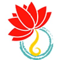 Lotus In A Pond