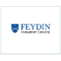 FEYDIN Management Consulting logo - Similar company to Winch Management
