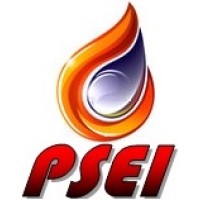 PSEI Firesafety System Inc. logo - Similar company to First Multi-Tech Industrial And Development Corporation