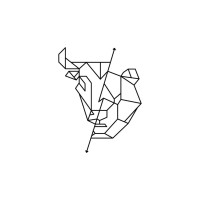 JadeStone Capital logo - Similar company to Turban Tee (Teevolve)