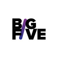 Big Five Solutions logo - Similar company to Big Five Group
