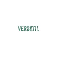 Spatiul Versatil logo - Similar company to Mabit.Ro