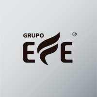 Grupo EFE logo - Similar company to Grupo Enfoque