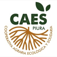 CAES Piura logo - Similar company to X Conaeingeo - Piura (Congreso Nacional De Estudiantes De Ingeniería Geológica)