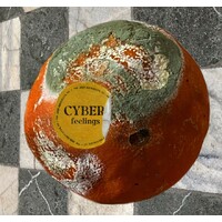 Cyber Feelings