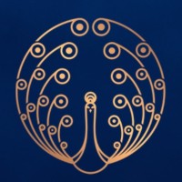 PANEVA logo - Similar company to Cornerluxe